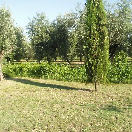 Country House Oasi Degli Ulivi *